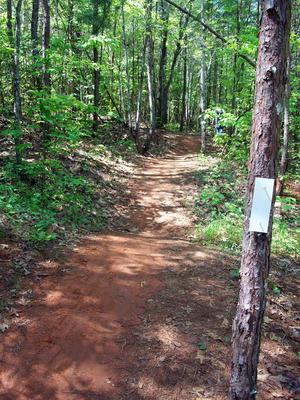 Rolling trail at Jackrabbit Mountain