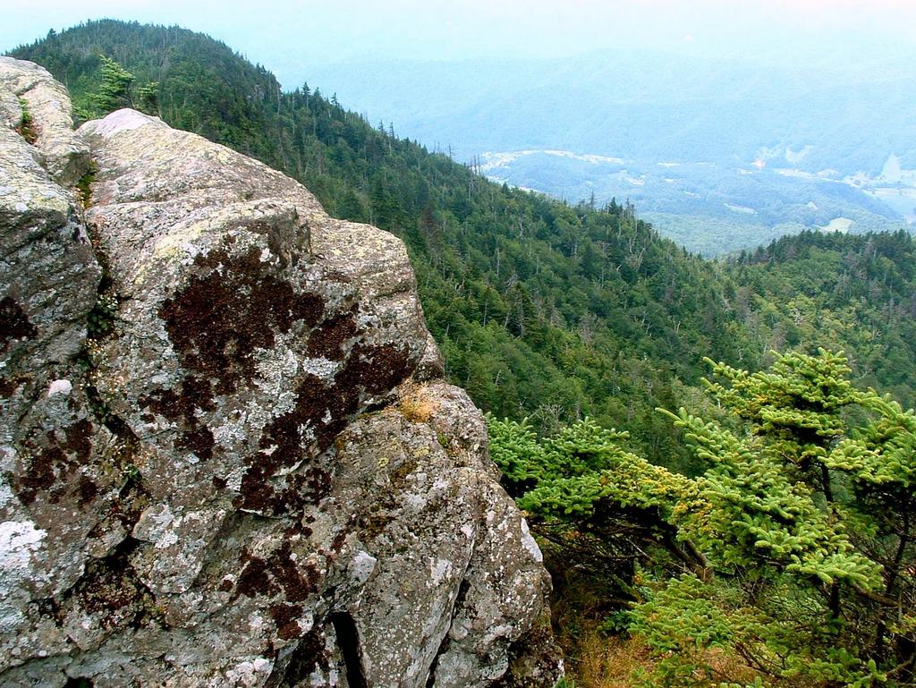 View from Roan High Bluff View from Roan High Bluff