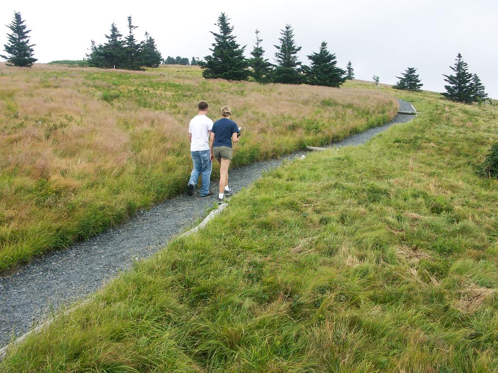 The worthwhile climb to Round Bald from Carver's Gap. The worthwhile climb to Round Bald from Carver's Gap.