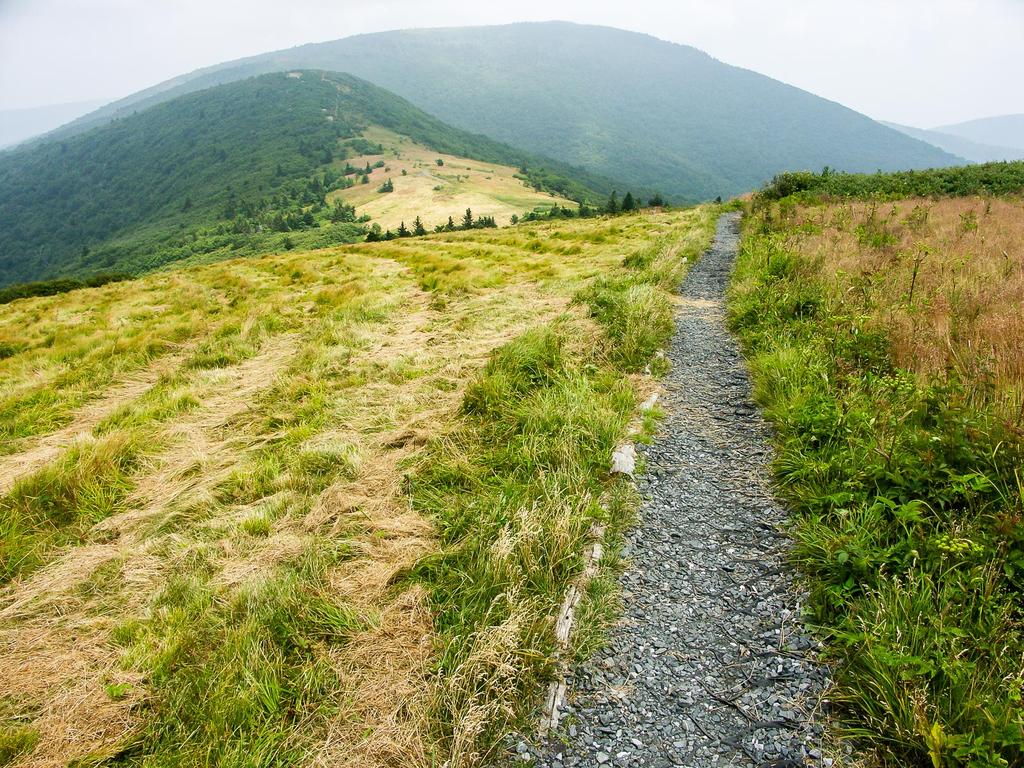 Appalachian Trail on Roan Mountain's Round Bald Appalachian Trail on Roan Mountain's Round Bald