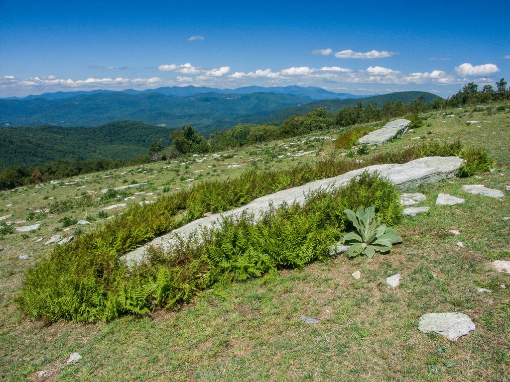 View north from Bearwallow Mountain View north from Bearwallow Mountain