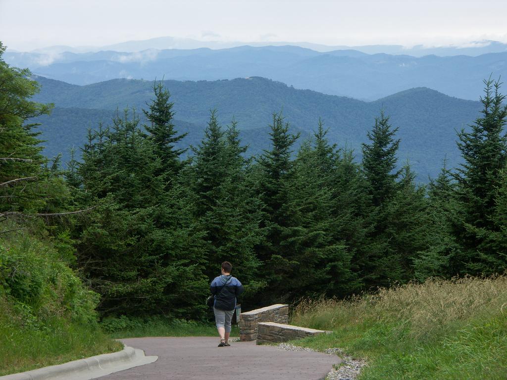 Mount Mitchell Summit Path Mount Mitchell Summit Path
