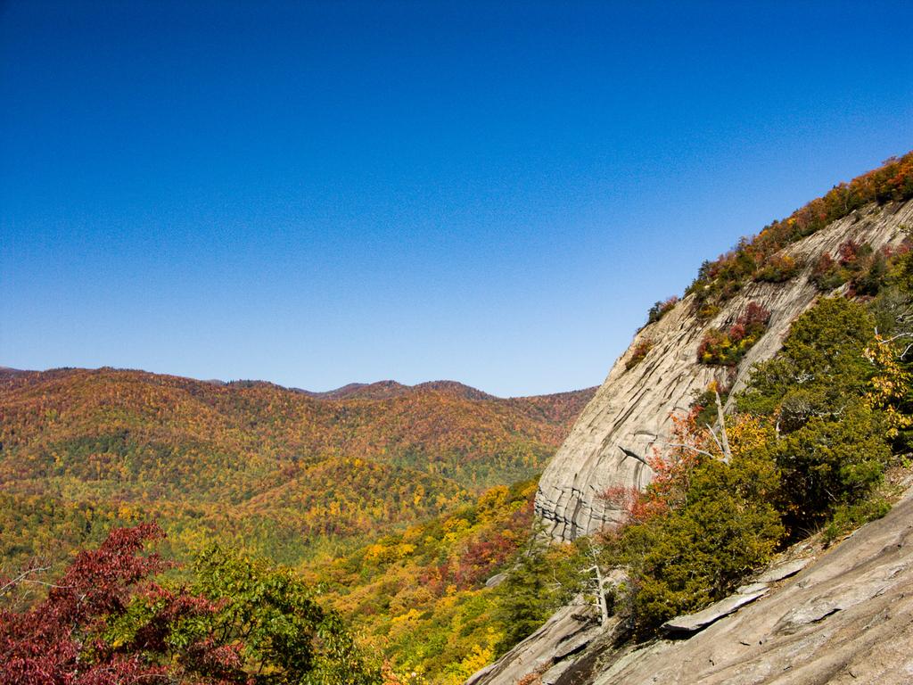 Get Book Looking glass rock For Free