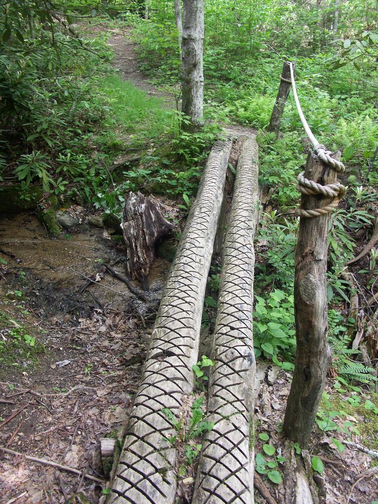 Log and Rope Bridge