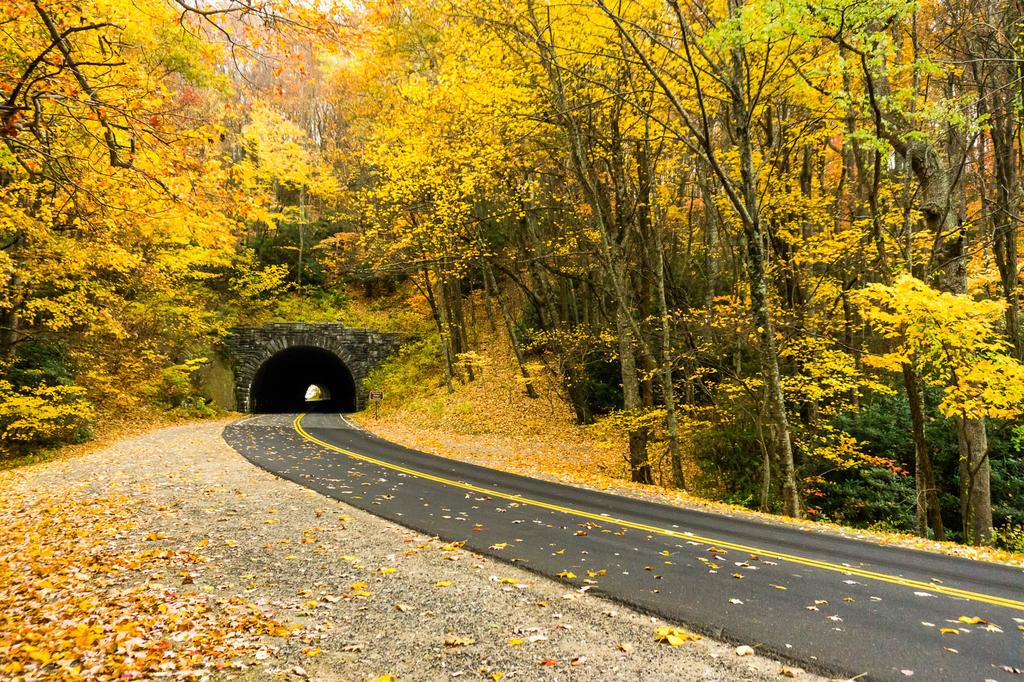 Tanbark Ridge Tunnel (U.S. National Park Service)