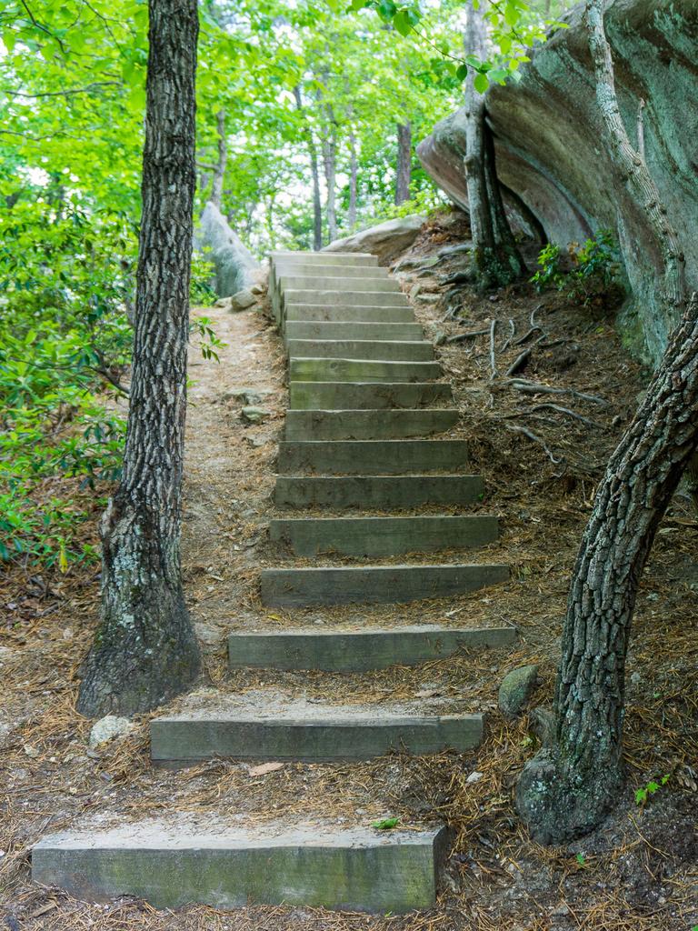 steep mountain trail