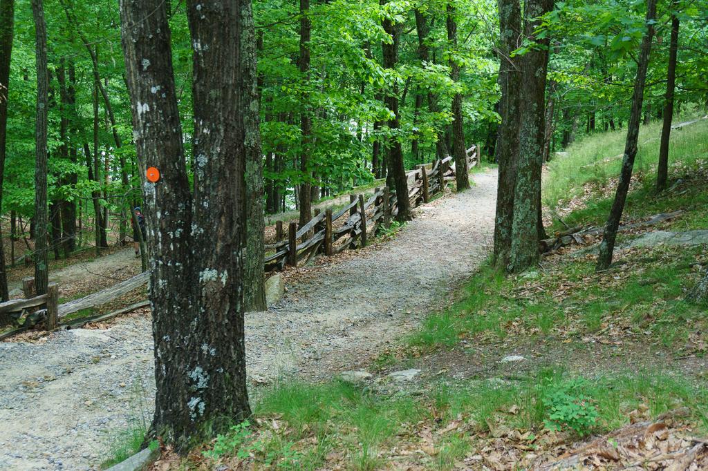 Steep Steps on the Stone Mountain Loop