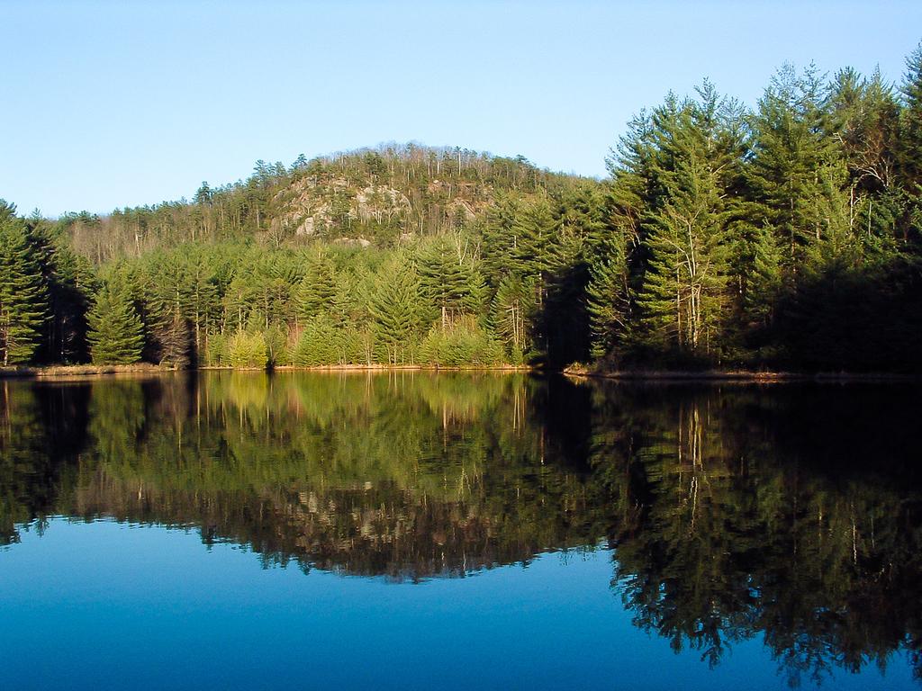 Lake Dense Lake Dense