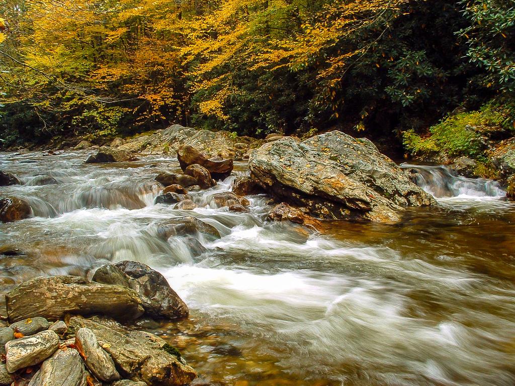 Shining Rock Wilderness Area - Pisgah National Forest