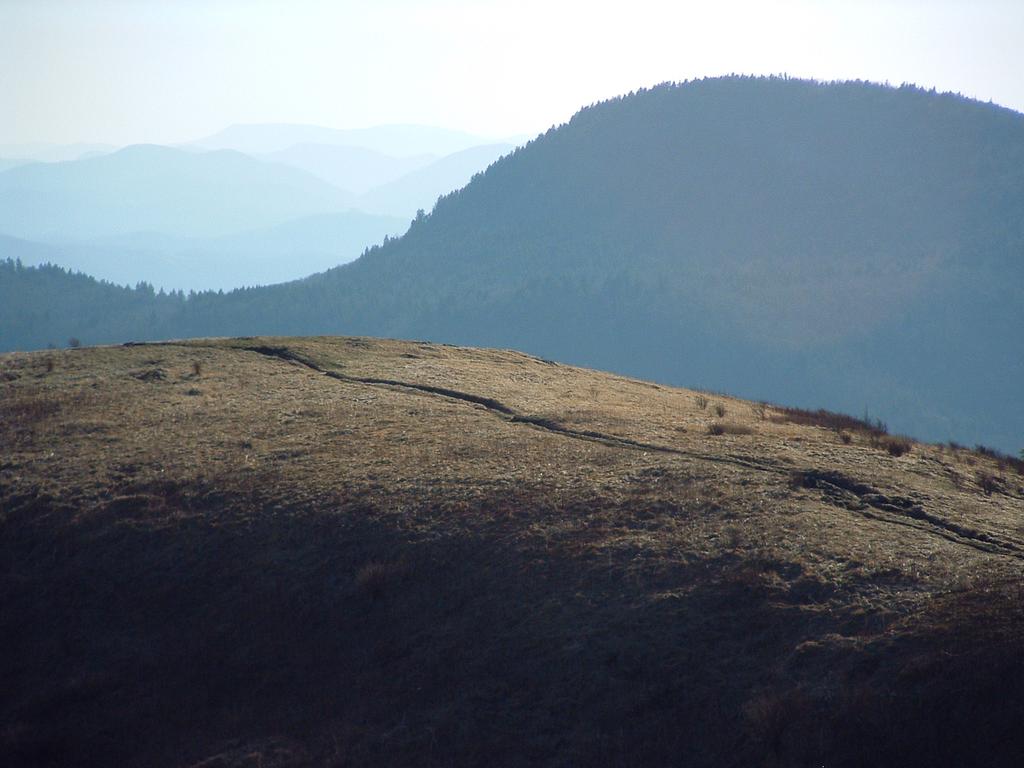 The Art Loeb Trail: Pisgah National Forest's Long Distance Trails