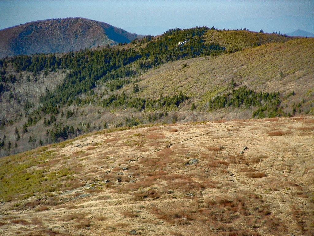 View across Tennent Mountain toward Shining Rock from Black Balsam Knob.