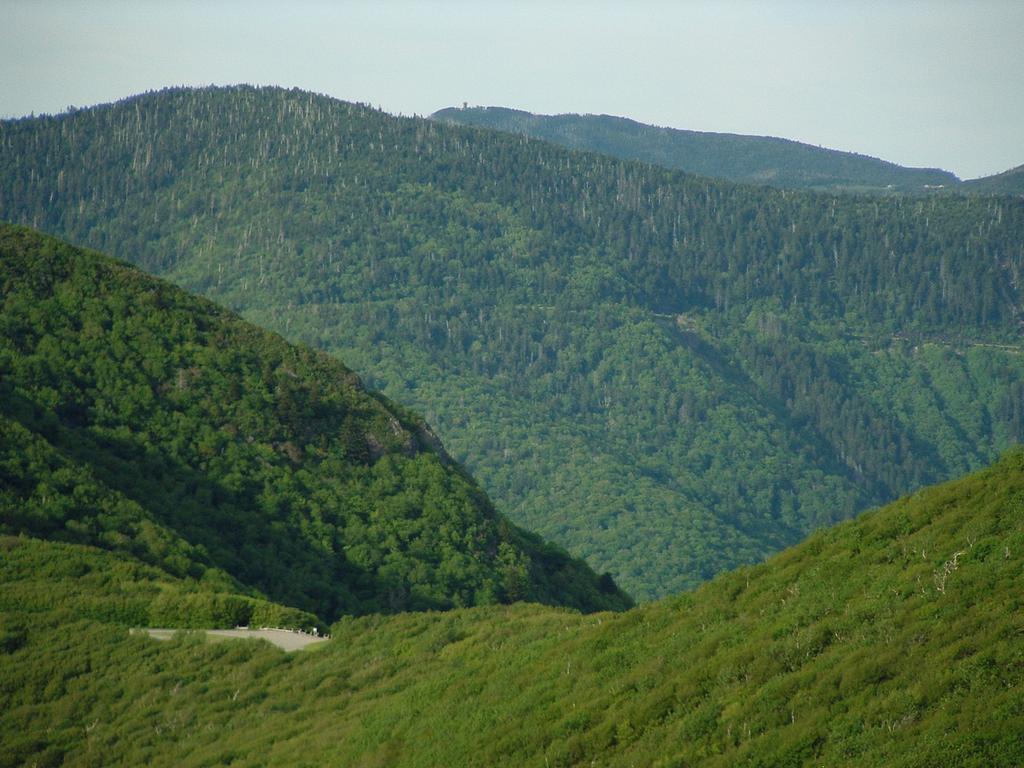 The Craggy and Black Mountains