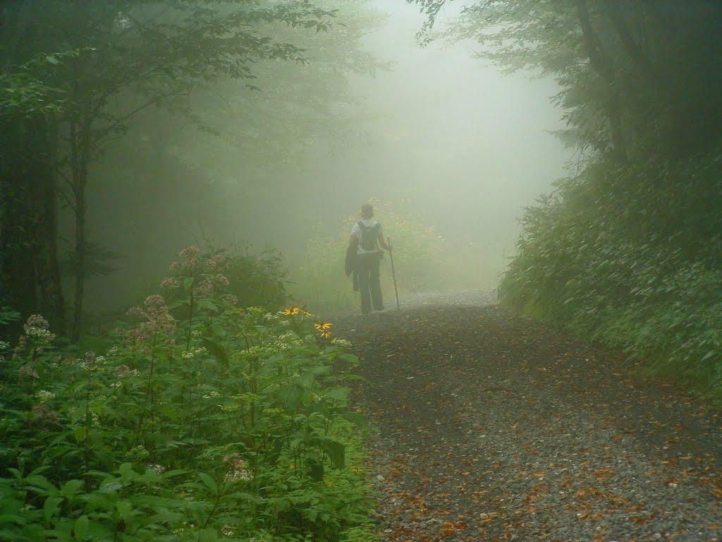 Hiking in the Fog on the Commissary Trail