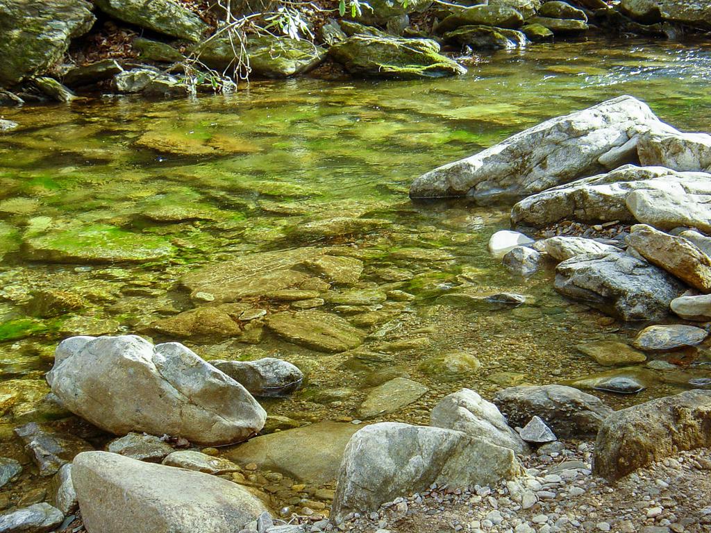 The Crystal-Clear Waters of the Jacob Fork River
