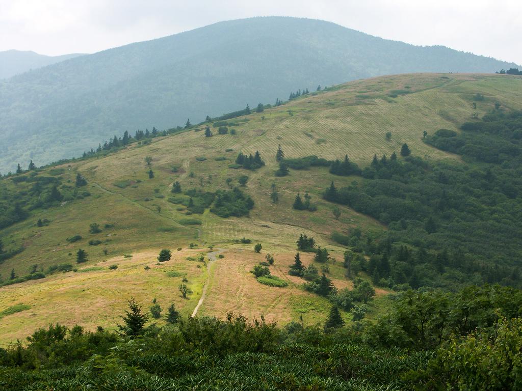 Roan High Knob from Appalachian Trail