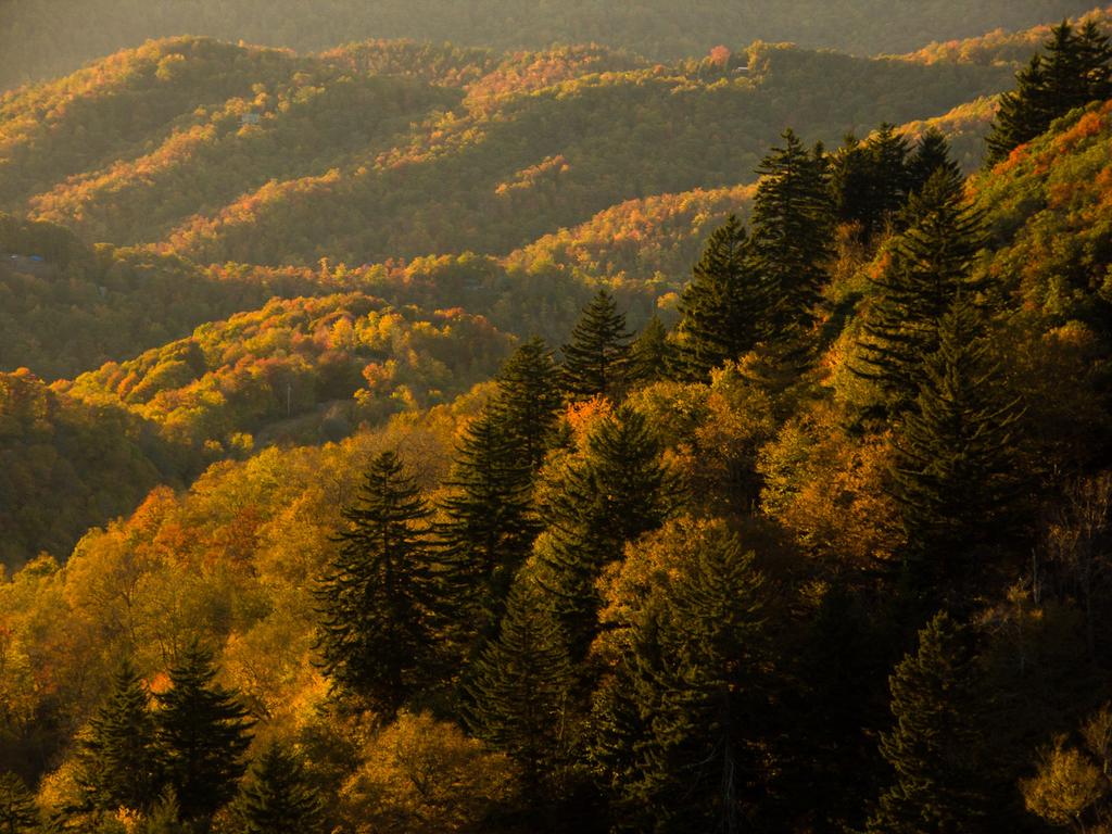 Autumn sunset at the Woolyback overlook.