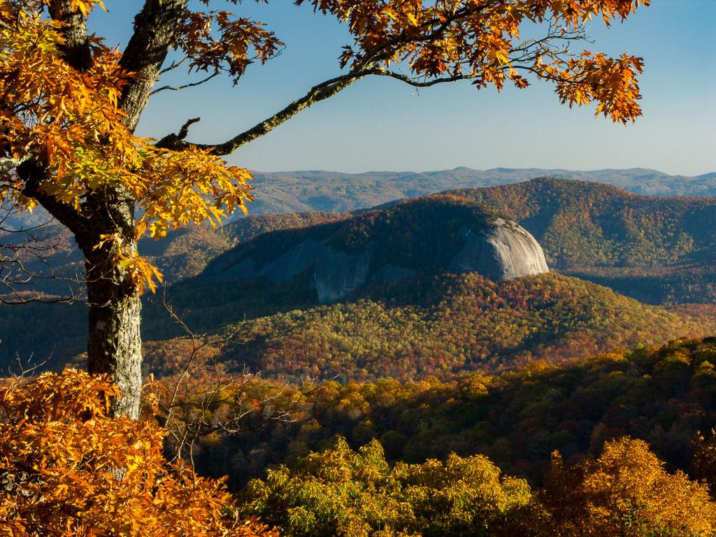 Looking Glass Rock Rusty Orange