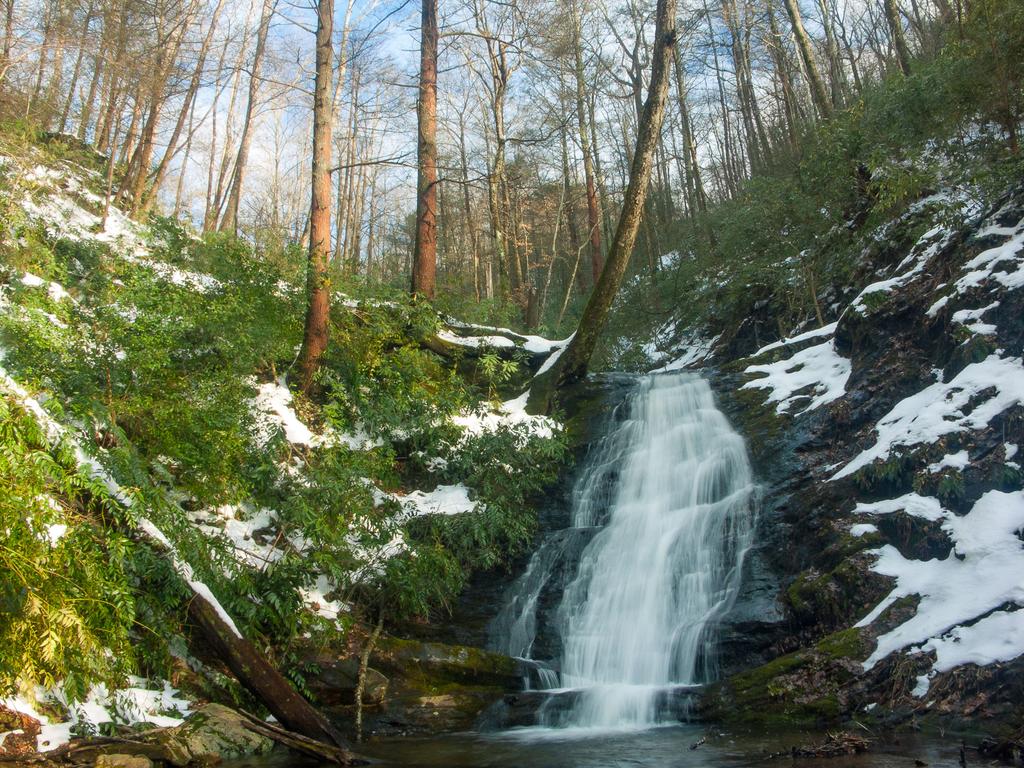 Falls on Hickory Branch