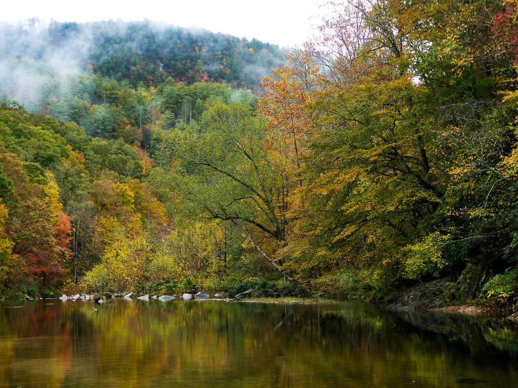 Wilson Creek in autumn during a light rainfall