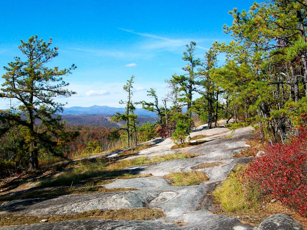 Current inspiration: view of Pisgah from Big Rock.