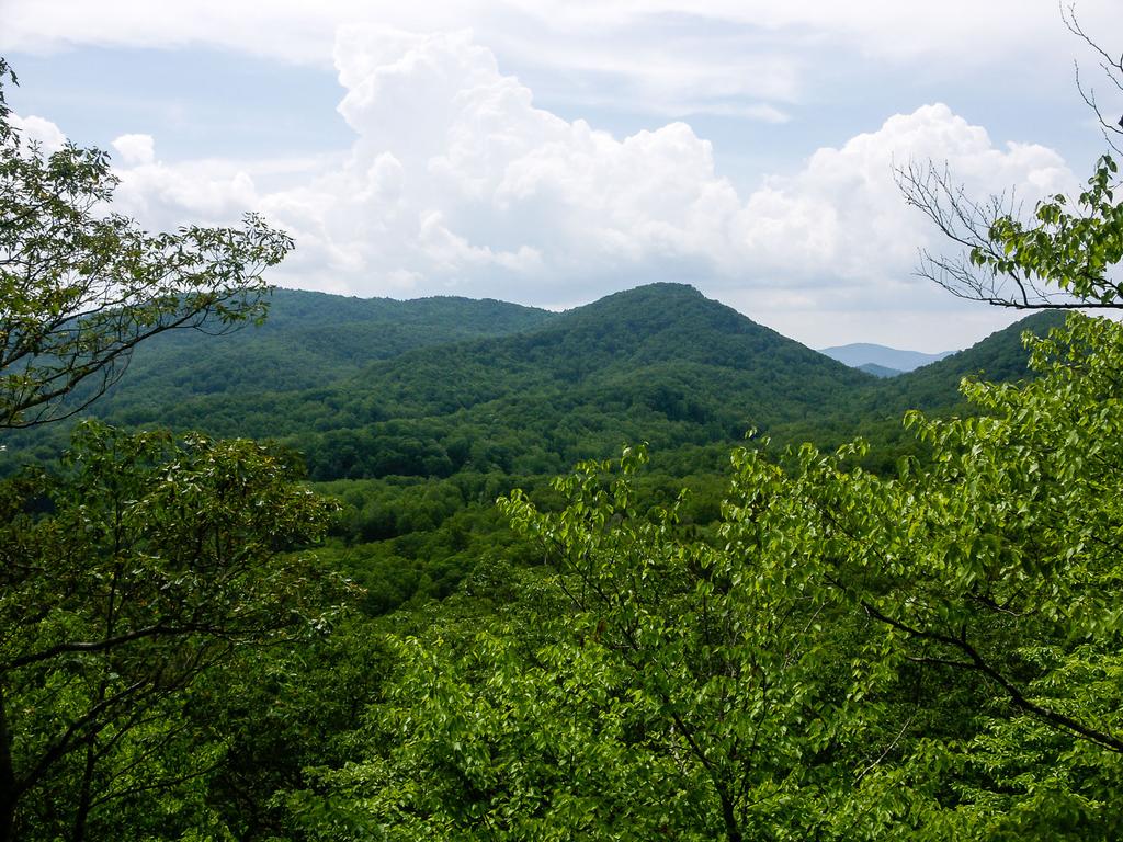 A view from the overlook on the Red trail in Florence Preserve.