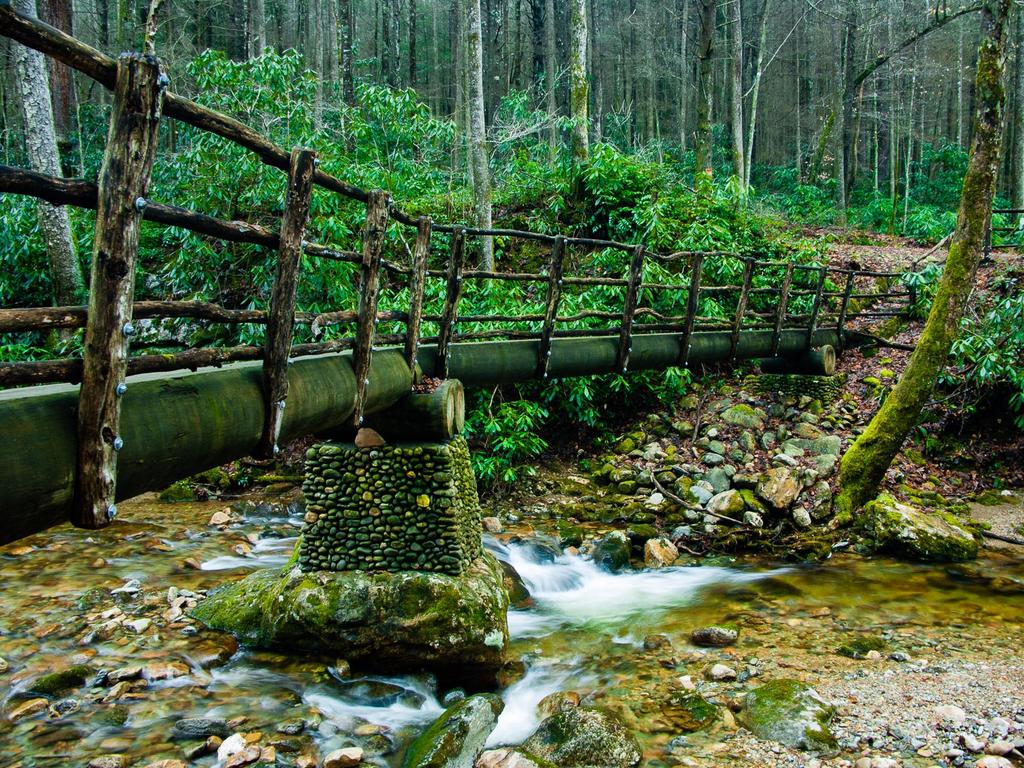 Log bridge over Hickey Fork Creek