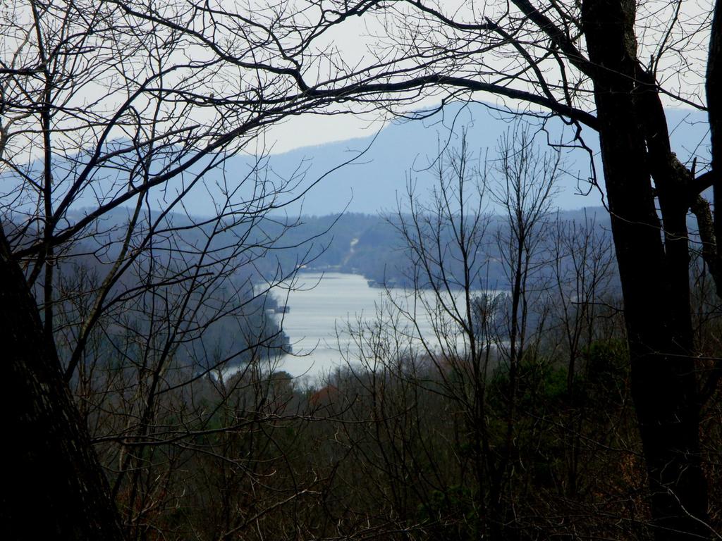 View of Bald Mountain Lake from Buffalo Creek Park