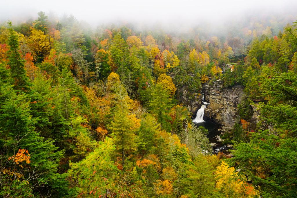 Linville Falls from Erwin's View in Autumn