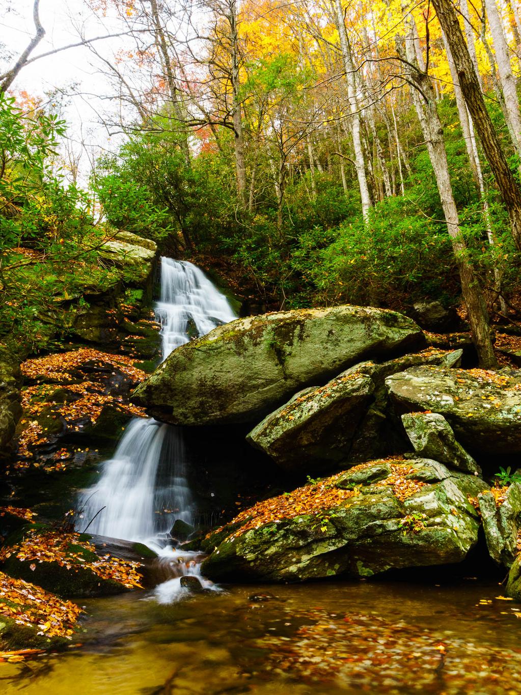 The upper drop of Little Lost Cove Creek Falls. The upper drop of Little Lost Cove Creek Falls.
