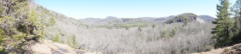 View of Panthertown Valley from Salt Rock Overlook