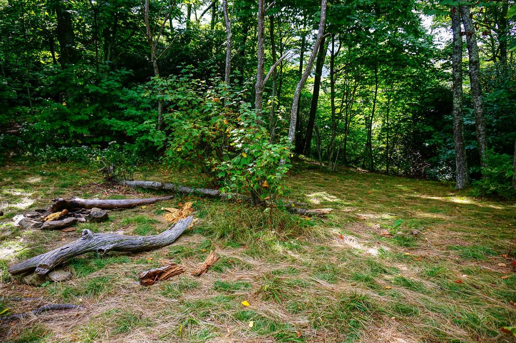 Awesome campsite at Turkey Spring Gap