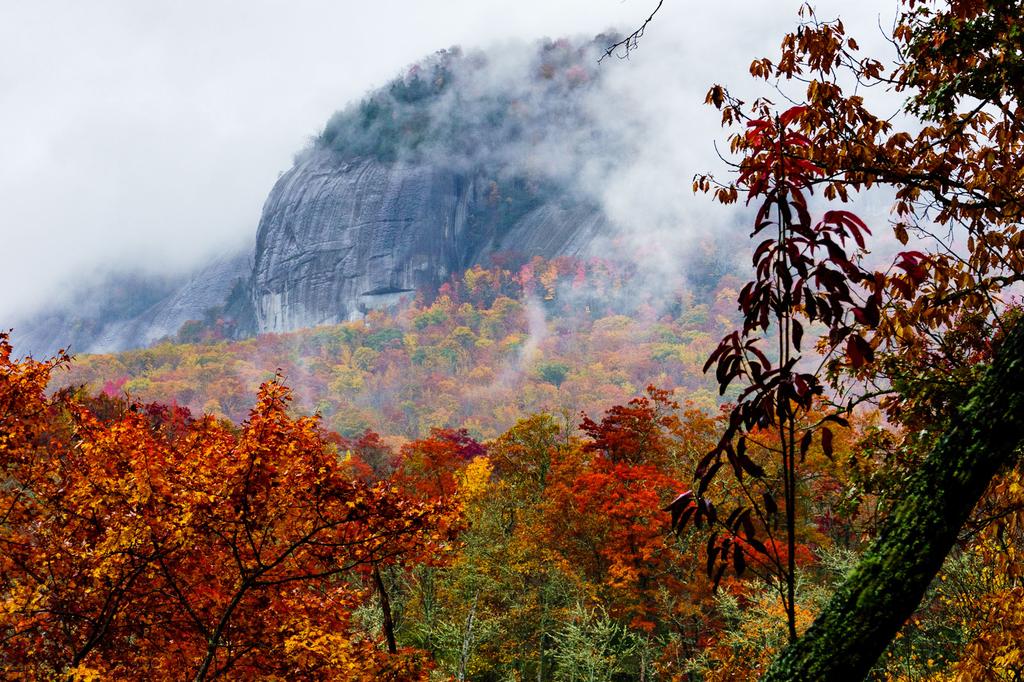 Fog and Fall on Looking Glass Rock