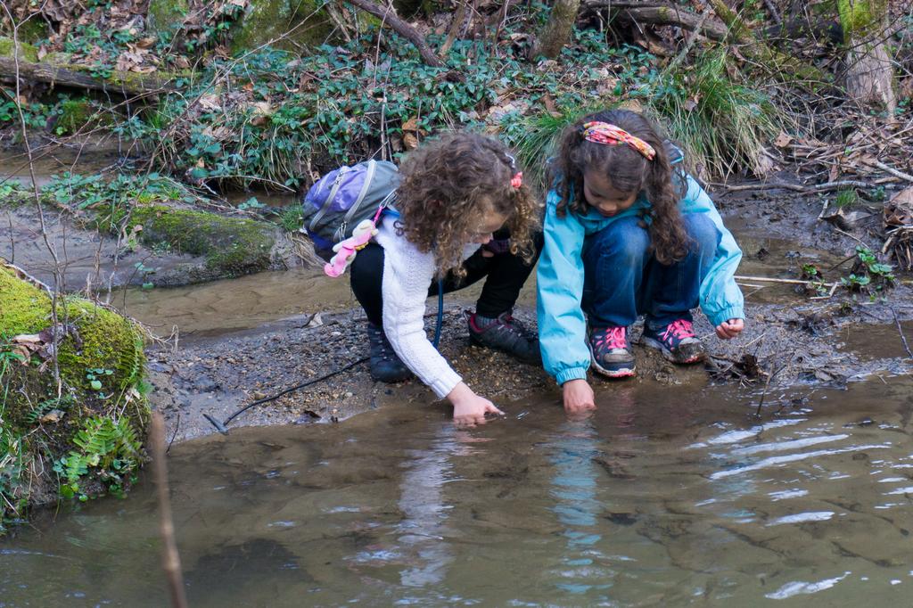 Playing in the Creek