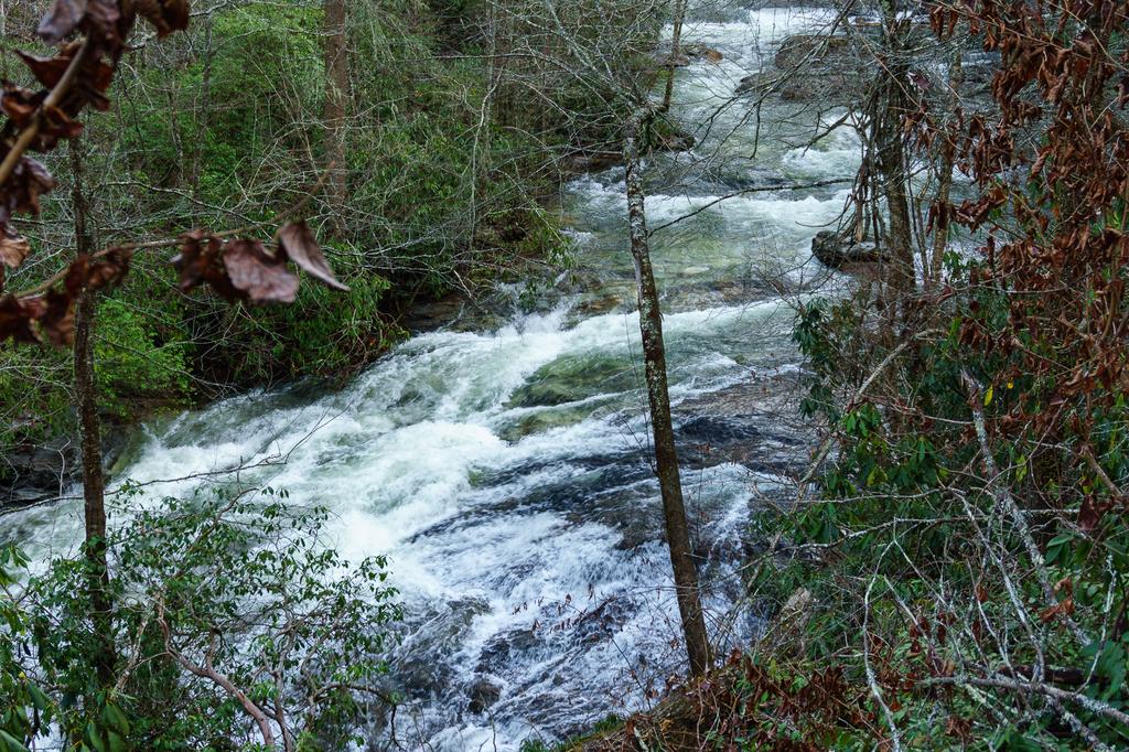 West Fork Tuckasegee River Above High Falls