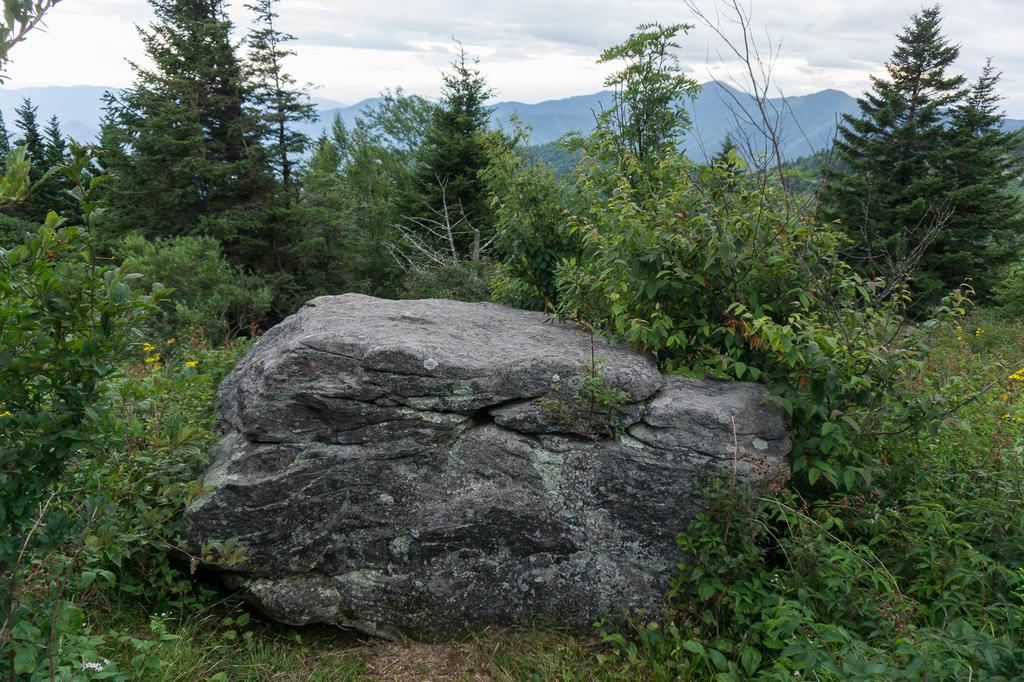 Boulder Beside the Trail