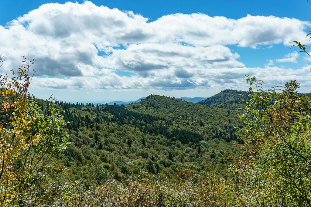 View from the Mountains to Sea Trail