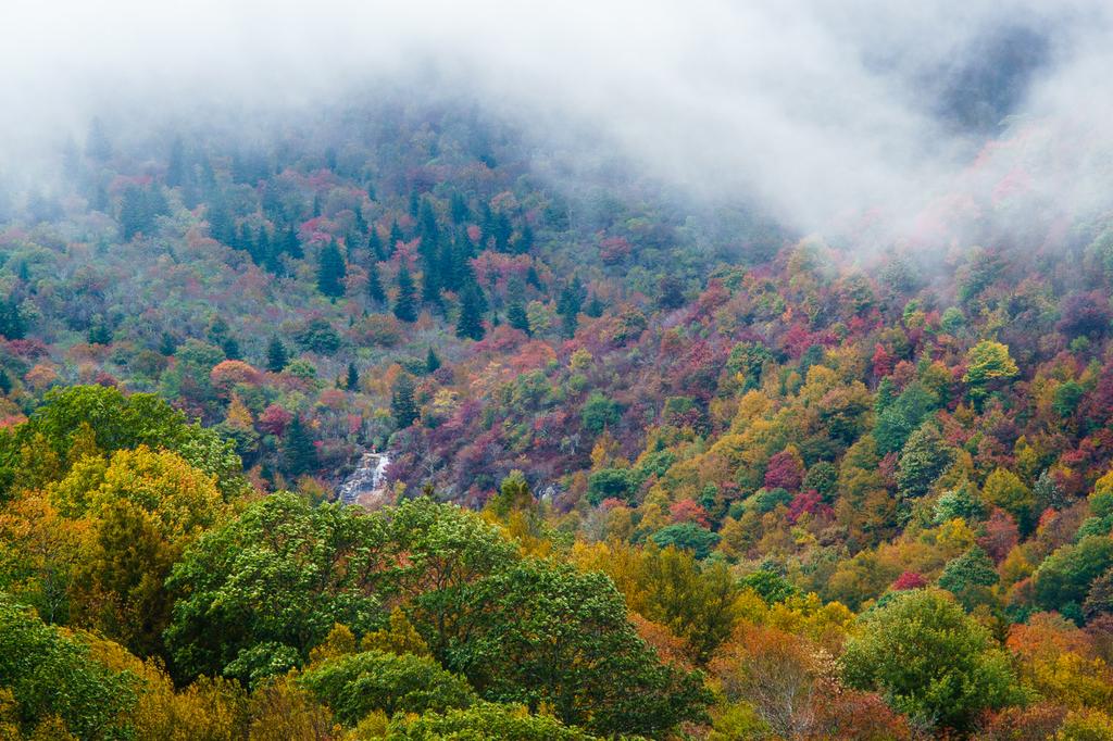 Upper Falls in Fall Color