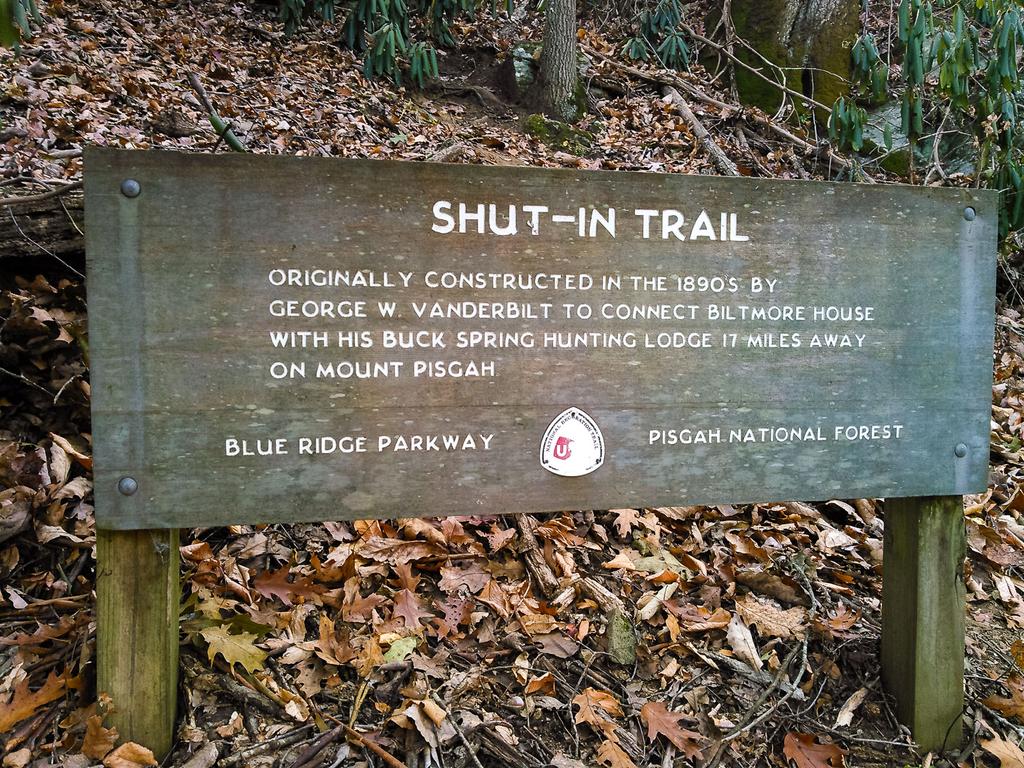 The ShutIn Trail Pisgah National Forest Long Distance Trails