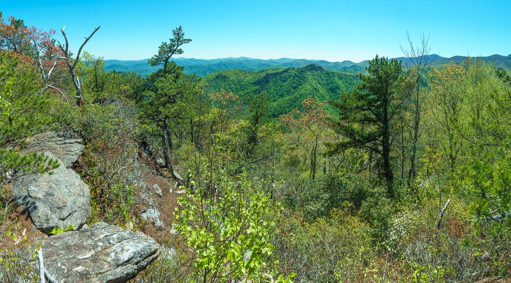 View from Snooks Nose