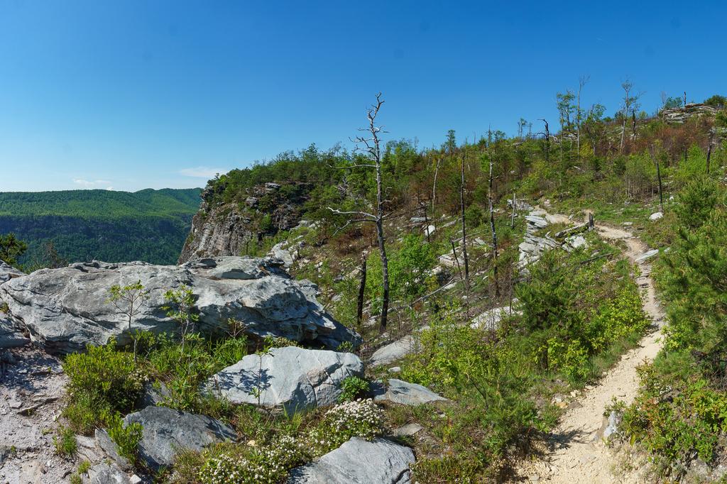 Mountains to Sea Trail along Shortoff's Cliffs