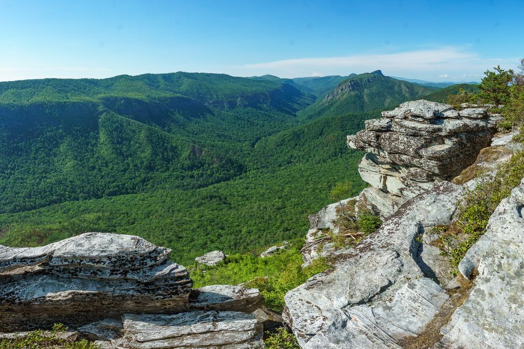 View of Linville Gorge from Shortoff Mountain