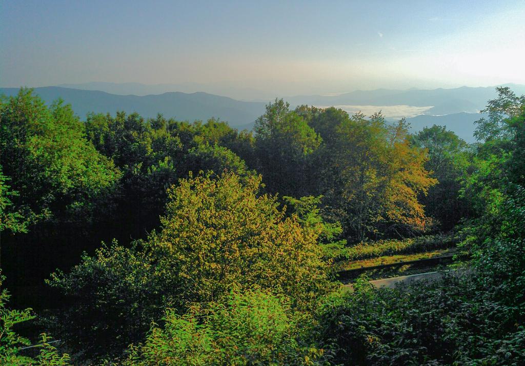 View from Spirit Ridge Trail