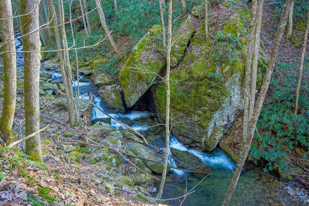 This big slab of rock is poised on the mountainside opposite a scenic section of the Staire Creek trail. A great view of it can be had when the leaves are down, but you'll have to stop on the downhill portion of the ride.