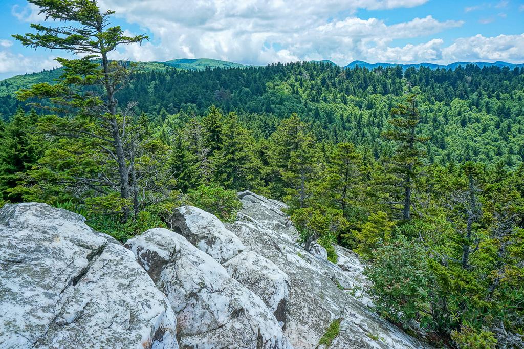 Shining Rock Wilderness Area - Pisgah National Forest