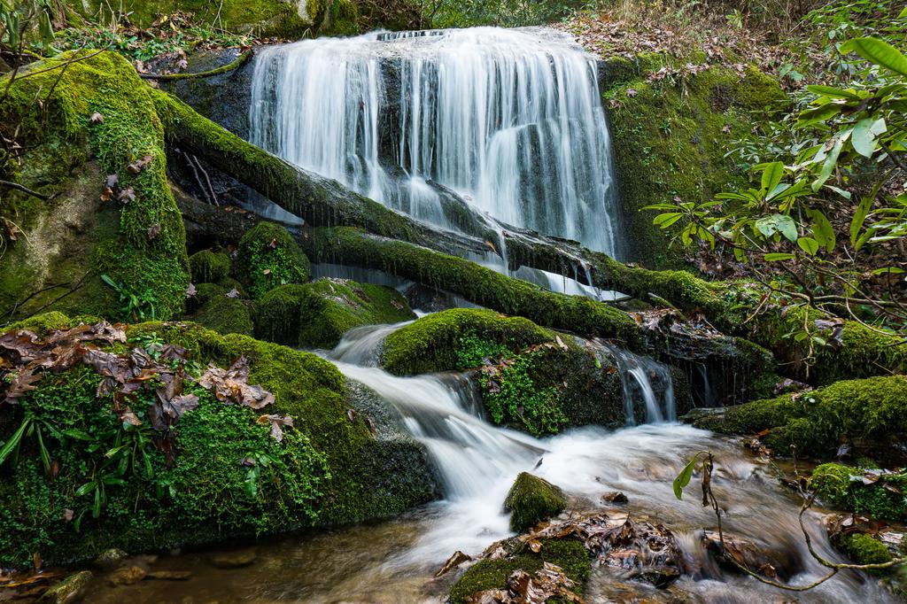 Cascade on the Bluff Mountain Loop Trail Cascade on the Bluff Mountain Loop Trail