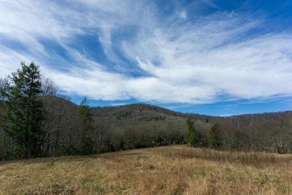 Third and Final Wildlife Meadow at the end of Licklog Road