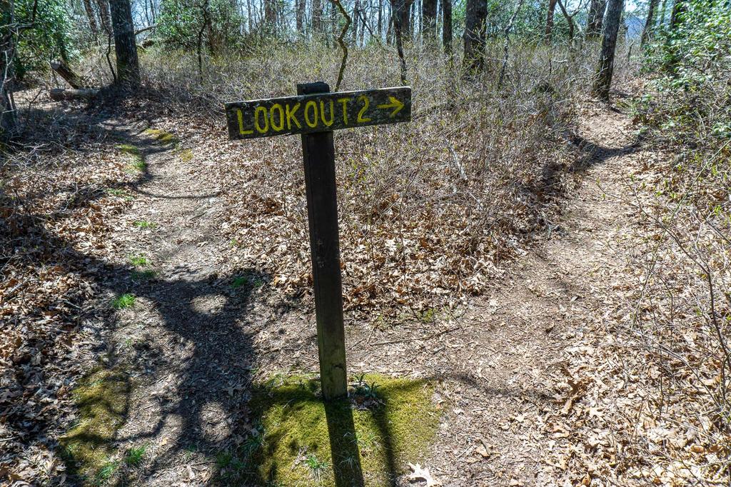 Spur Trail to Lookout 2 on Chinquapin Mountain