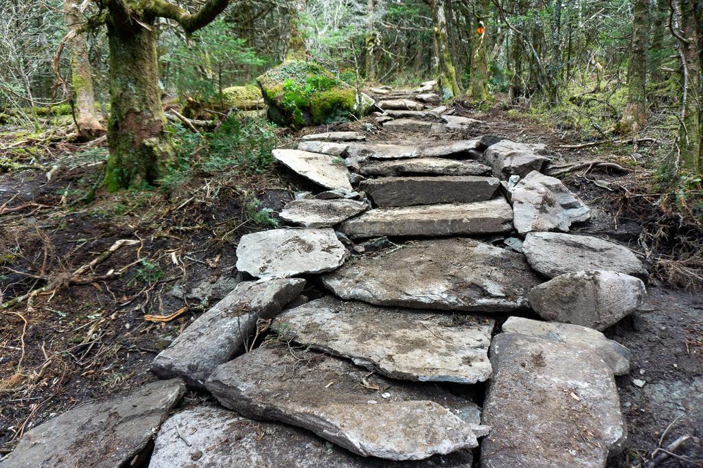 Newly constructed, machine-placed stone staircase near the upper end of the Profile Trail