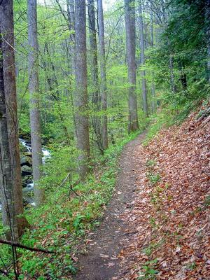 Daniel Ridge singletrack climbing Right Fork