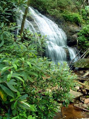 Falls on the West Prong of Hickey Fork